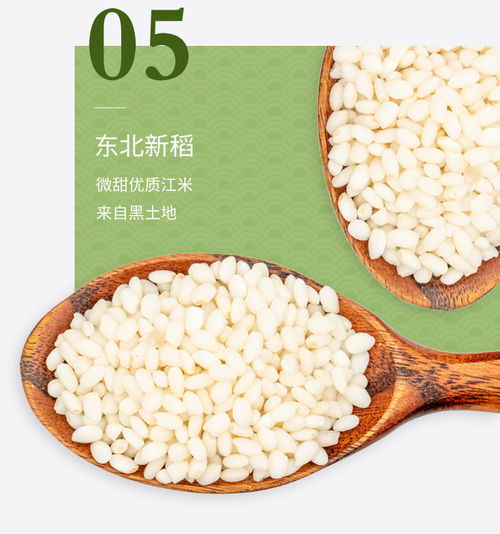 言禮嘉興粽子 潤香豆沙粽120g 2只新鮮甜味粽真空包裝即食早餐食品 端午節(jié)浙江特產(chǎn)